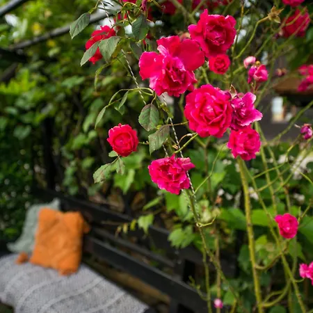 Boho House 1 Camp Terme Catez With Promotional Tickets Prices *