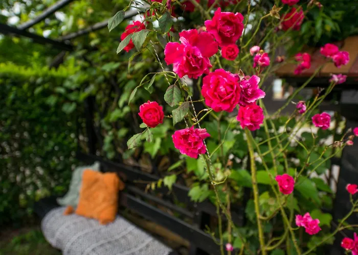 Boho House 1 Camp Terme Catez With Promotional Tickets Prices *